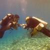 Picture taken during the dive