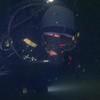 Picture taken during the dive