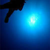 Picture taken during the dive
