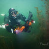 Picture taken during the dive