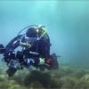 Picture taken during the dive