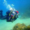 Picture taken during the dive