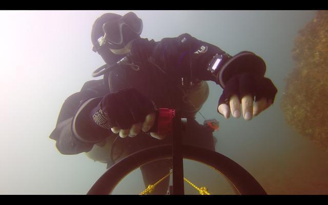 Mar Do Rio - Dive Center