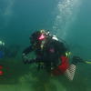 Picture taken during the dive