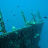 Picture taken during the dive