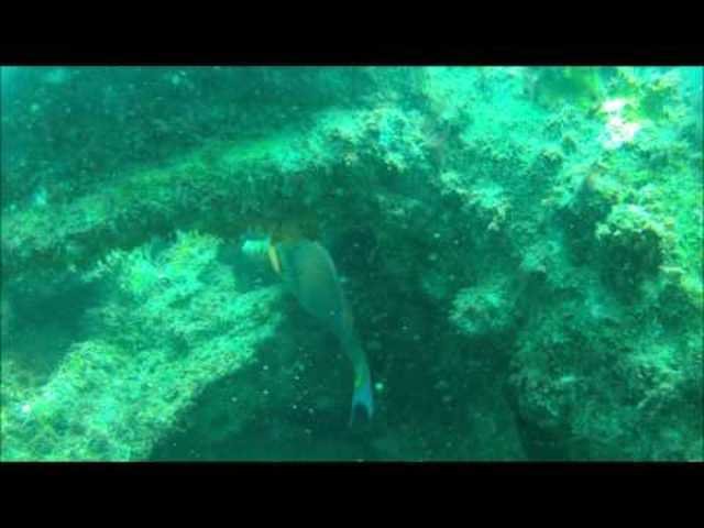 Dunas De Sal - Dive Center in Cape Verde