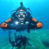 Picture taken during the dive
