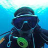 Picture taken during the dive