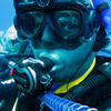 Picture taken during the dive