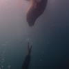 Picture taken during the dive