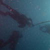 Picture taken during the dive