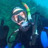 Picture taken during the dive
