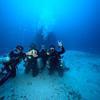 Picture taken during the dive