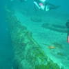 Picture taken during the dive