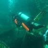 Picture taken during the dive