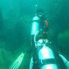 Picture taken during the dive