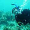 Picture taken during the dive