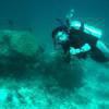 Picture taken during the dive