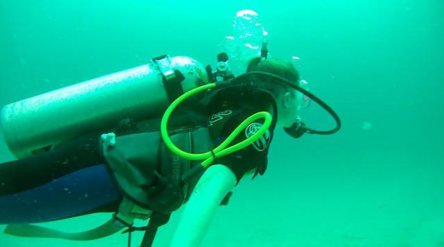 Tarpoon Lagoon - Dive Center in United States