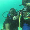 Picture taken during the dive