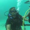 Picture taken during the dive