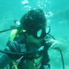 Picture taken during the dive
