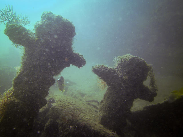 Aquatic Sports And Adventures - Dive Center in Mexique