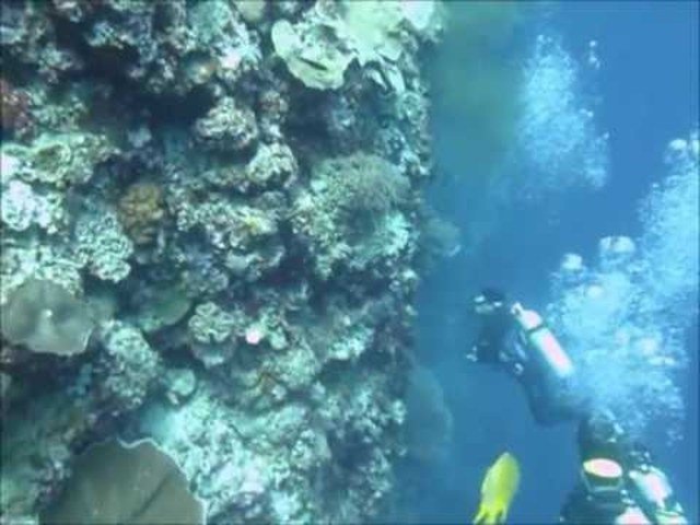 Sea Explorers - Dive Center