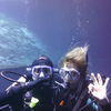 Picture taken during the dive