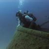 Picture taken during the dive