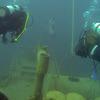 Picture taken during the dive