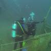 Picture taken during the dive