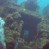 Picture taken during the dive
