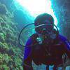 Picture taken during the dive