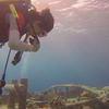 Picture taken during the dive