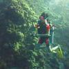 Picture taken during the dive