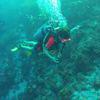 Picture taken during the dive