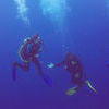 Picture taken during the dive
