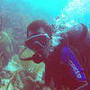 Picture taken during the dive