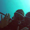 Picture taken during the dive