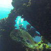 Picture taken during the dive