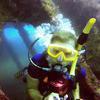 Picture taken during the dive
