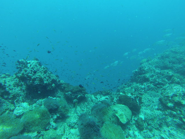 Reefers Dive Resort - Dive Center