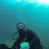 Picture taken during the dive