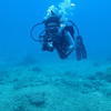 Picture taken during the dive