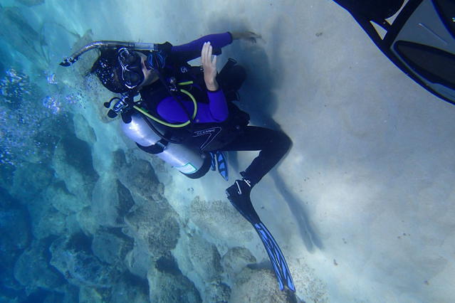 Ocean Legends - Dive Center in United States