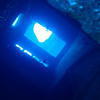 Picture taken during the dive