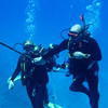 Picture taken during the dive