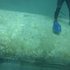 Picture taken during the dive