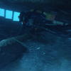 Picture taken during the dive